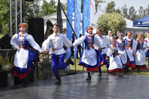 VI Festiwal Ziół